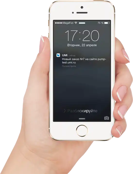 capabilities - 1C-UMI capabilities